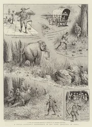 Die Erfahrung eines Marineoffiziers beim Großwildjagen in Indien